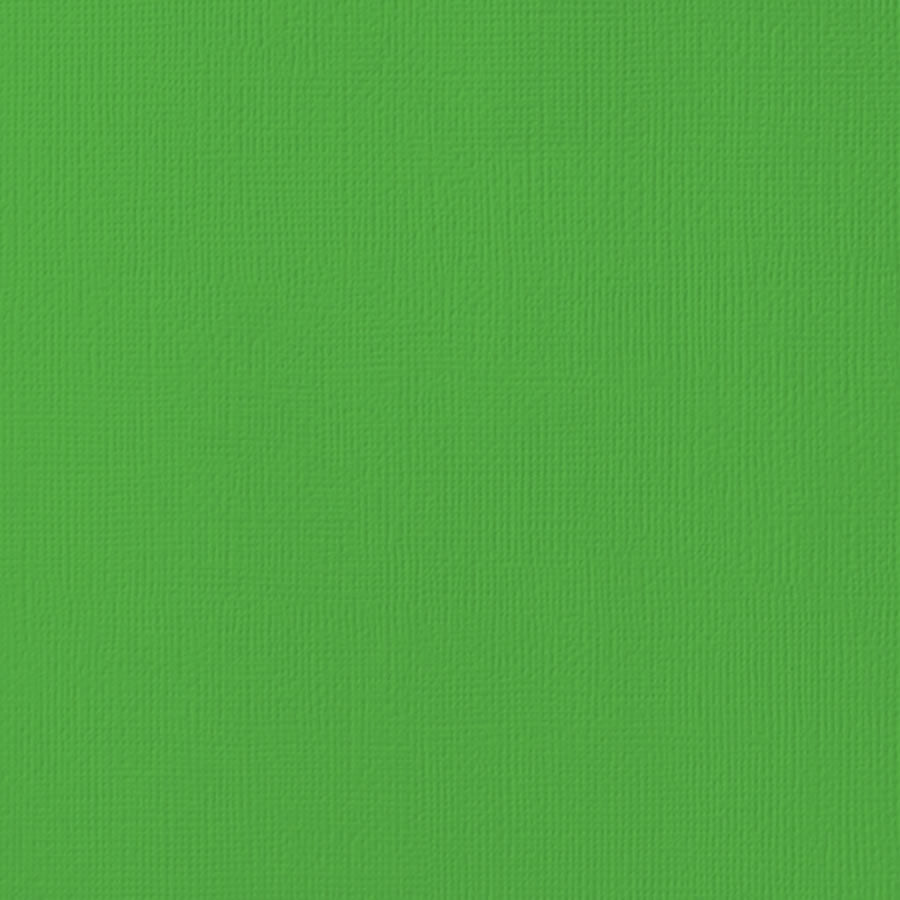 Cardstock 12x12 Textured - Grass (10 Sheets)